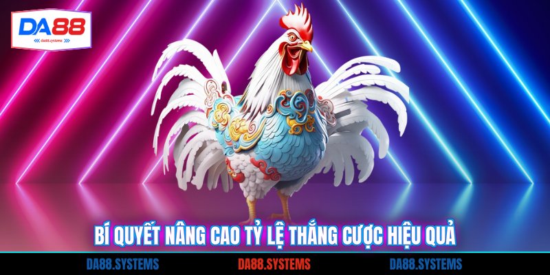 Bí quyết nâng cao tỷ lệ thắng cược hiệu quả