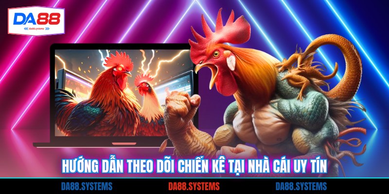 Hướng dẫn theo dõi chiến kê tại nhà cái uy tín