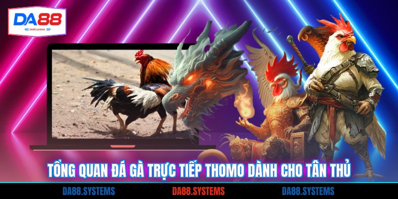 Tổng quan đá gà trực tiếp thomo dành cho tân thủ