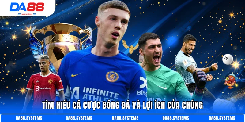 Tìm hiểu cá cược bóng đá và lợi ích của chúng